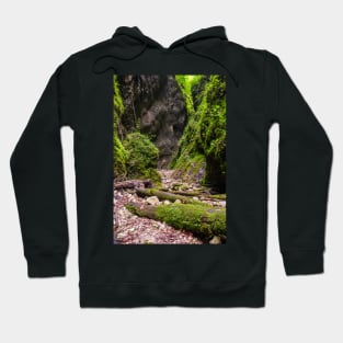 The wonderful Sighistel gorge Hoodie